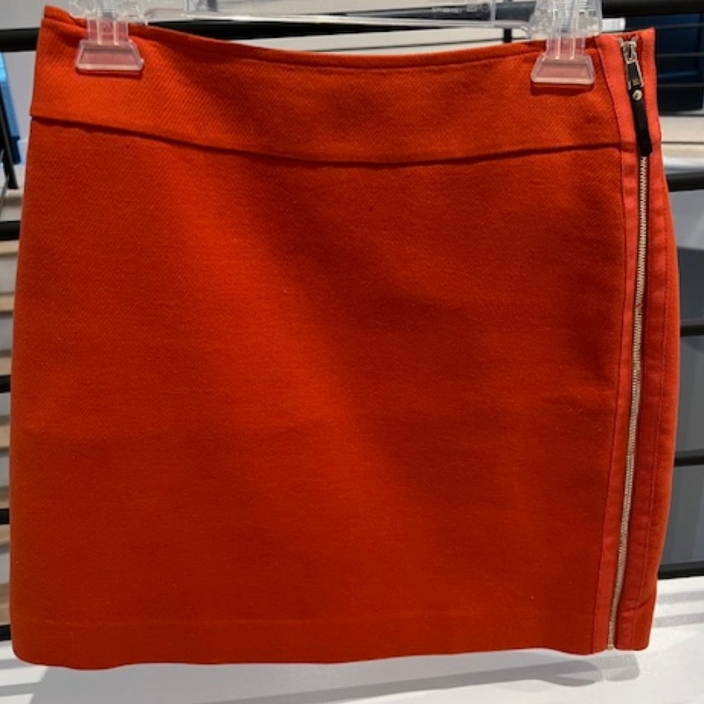 Ann Taylor Burnt Orange Skirt
